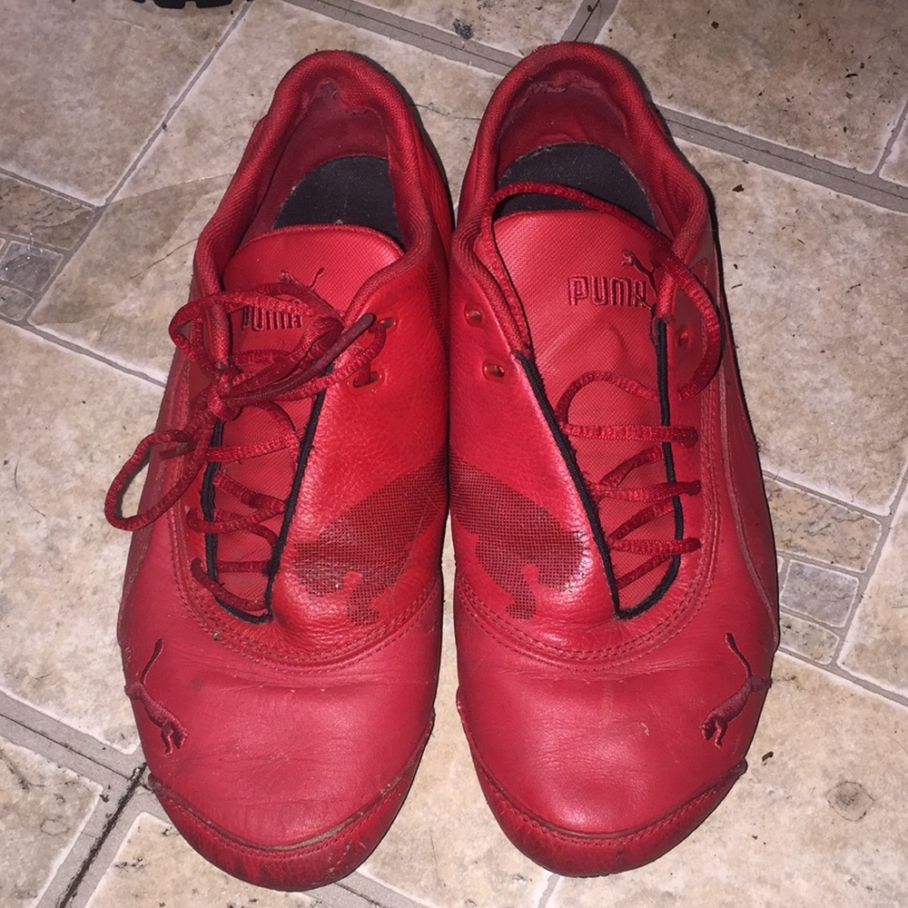 Pumas in good conditions